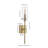 Chuperosa Bohemian Farmhouse Iron/Glass LED Vanity-67637908-119338786