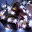 Guirlande lumineuse DEL 11,5 pi-388065612