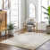Labriola Oriental Indoor Rug