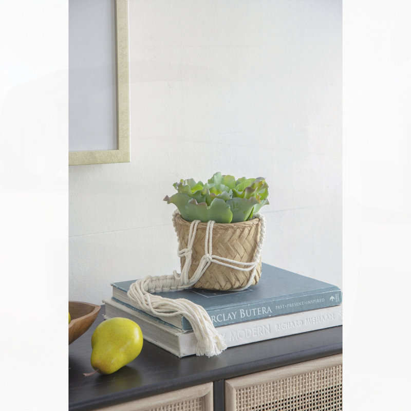 Planter with Cotton Hanger - Set of 2 - 5" x 5" x 4.5" - Brown/Cream