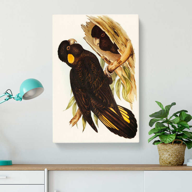 Yellow-Eared Black Cockatoos by Elizabeth Gould - Wrapped Canvas Painting, 76cm H x 50cm W x 3cm D