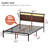 Livia Queen Platform Bed with Storage Headboard, LED Light & Charging Station, USB & Type-C Ports, No Box Spring Needed-735571773-677896139