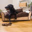 Canapé pour chien Pablo-57596947-57596948