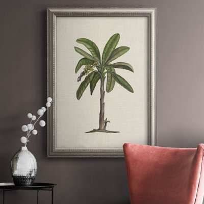 " UA CH British Palms II "
