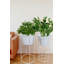 Support pour plante gigogne Chimdindu