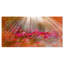 Sunlight Over Small Red Flowers - Reproduction de photo sur toile tendue-19241378
