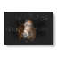 Brown Horse In The Shadows - Wrapped Canvas-56648084