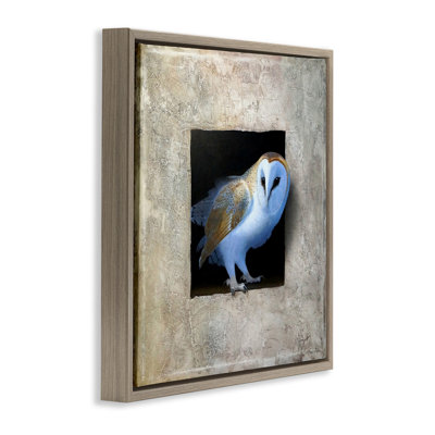 Mysterious Barn Owl Peering