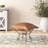 Dianaliz Faux Leather Ottoman-1019252003