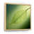 Natural Floater Framed