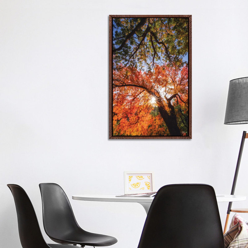 Reaching For Stars by Peter Coskun - Floater Frame Print on Canvas, 101.6 cm H x 66.04 cm W, Classic Brown Wood Framed Canvas