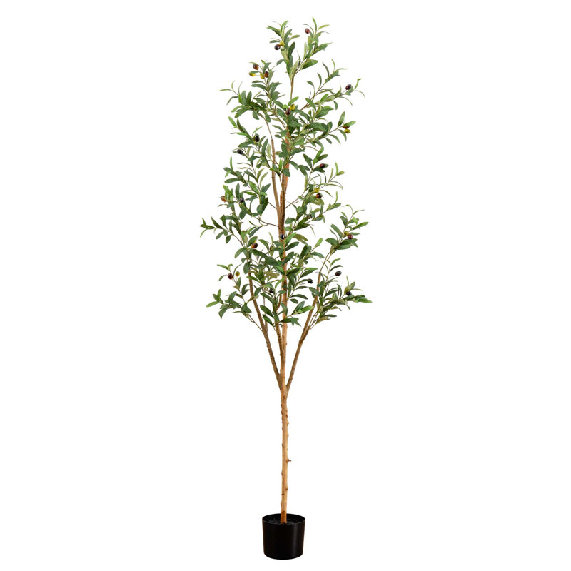 6ft Tall Faux Olive Tree with Natural Trunk in Gray Pot