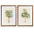 " Les Palmiers I " by Vincent Van Gogh 2 Piece Art Print-1963740757-1892072240-1963725637