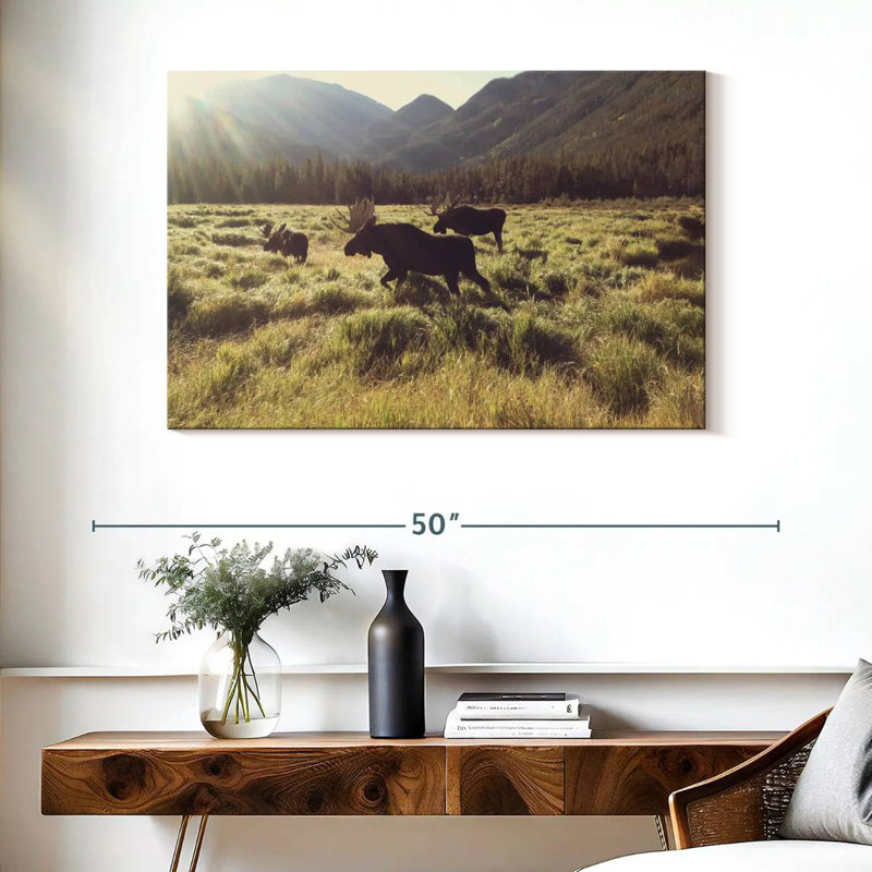 Brampt Three Bull Moose, 26" H x 39" W