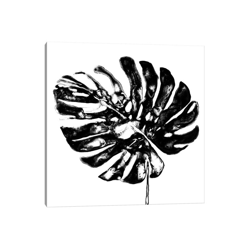 Monochrome Tropic V by June Erica Vess - Wrapped Canvas Gallery-Wrapped Canvas Giclée, 30.48cm H x 30.48cm W