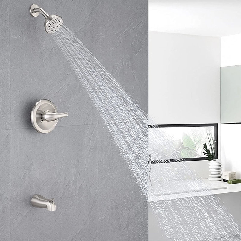 Pomme de douche à main pour salle de bain avec valve brute, Nickel brossé