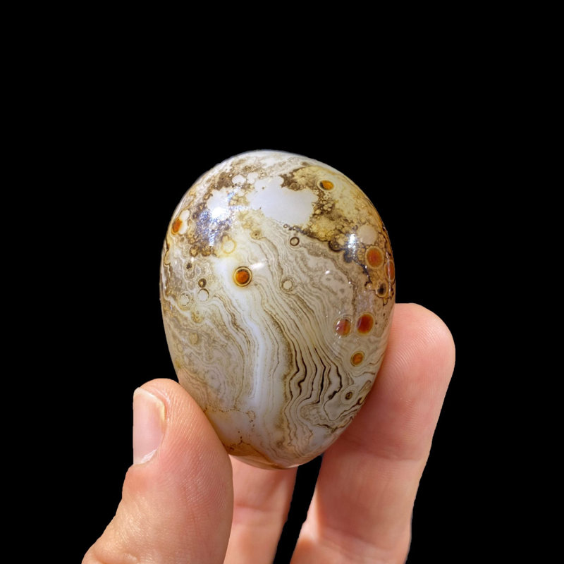 Palmier de sardonyx