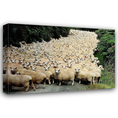 ArtDirect Tzur, Yair Gallery Wrapped Canvas Art Titled: New Zealand Traffic Jam