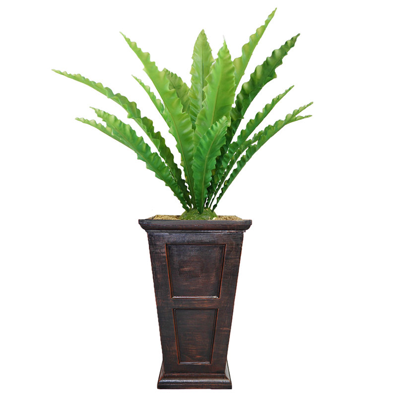 Plante grasse artificielle en pot Faning Aaru, H 51 po x l 24 po x P 24 po, Vert