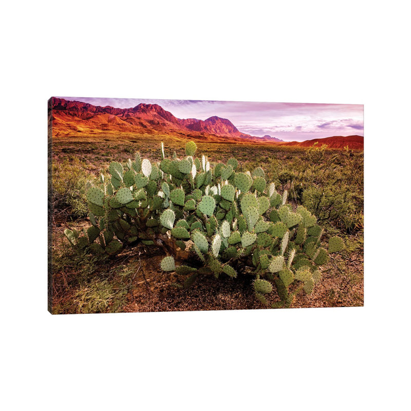 Chisos Mountains With Prickly Pear Cactus I by Susanne Kremer - Wrapped Canvas Gallery-Wrapped Canvas Giclée