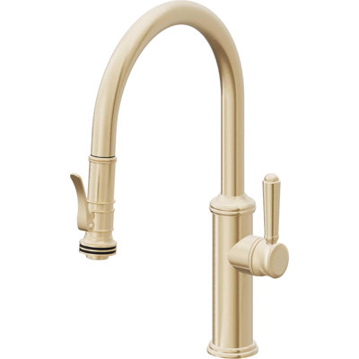 Davoli Kitchen Faucet
