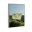 Floating Cotton I Print by Oliver Gal-350277372-454429953