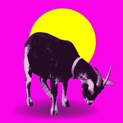 Fun Goat Bright by Aleksandra Alekseeva - Wrapped Canvas Print