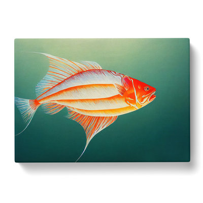 Intense Fish - Wrapped Canvas