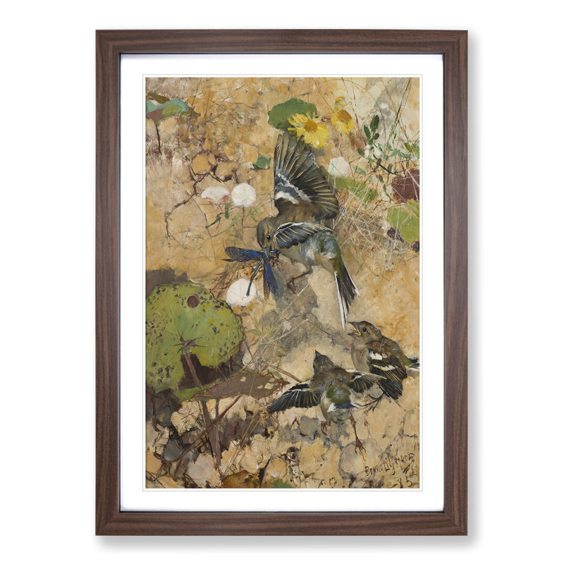 Birds and Dragonflies by Bruno Liljefors - Picture Frame Graphic Art, Walnut, 48cm H x 36cm W x 2cm D