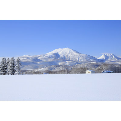 Snowfield 1 Piece Wrapped Canvas Wall Art