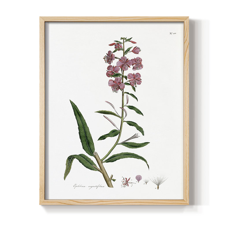 Rose Botanical I, reproduction encadrée - bois massif, Naturel, H 11 po x l 9 po