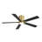 Dc Motor Indoor Flush Mount Ceiling Fan With Light Kit And Remote-529811623-536125091-529811616