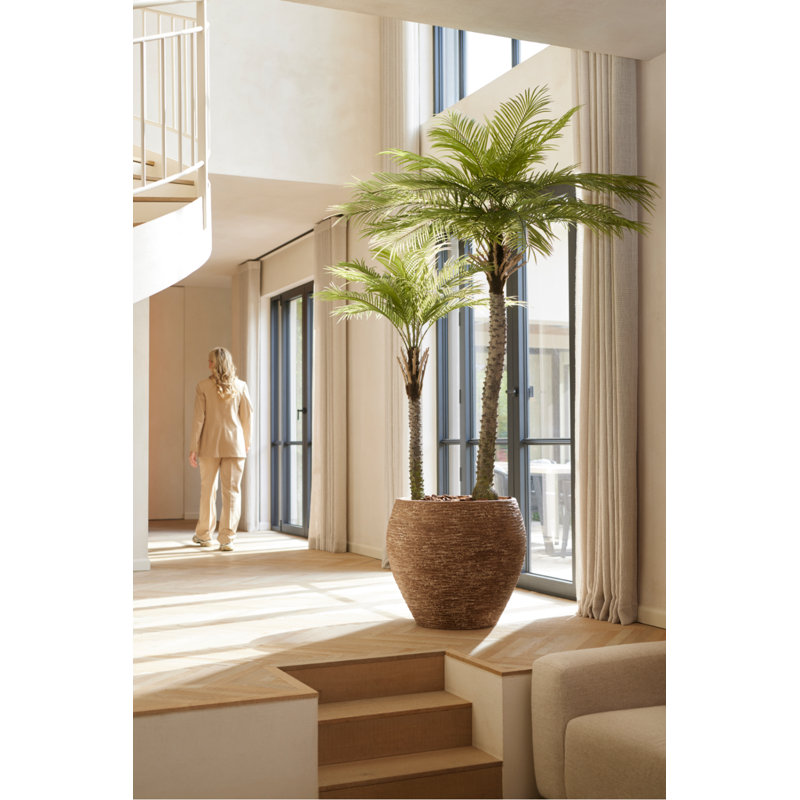 Plant in Pot Liner, 71" H x 47" W x 10" D