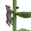 Arbre à chat Cactus