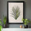 Palmier botanique I - impression-2113867222-2113867221