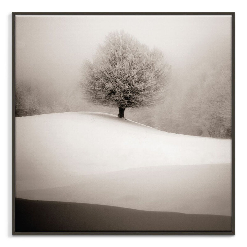 Print on Canvas, 102cm H x 102cm W, Black Floater Frame
