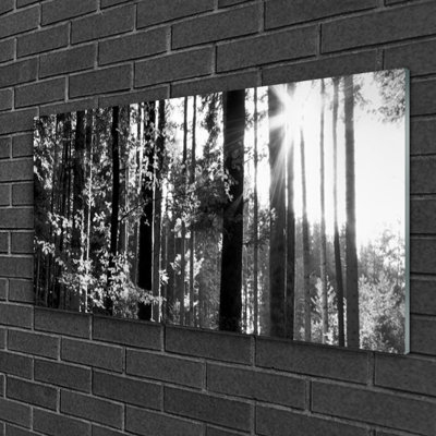 Nature Forest - No Frame Print on Glass