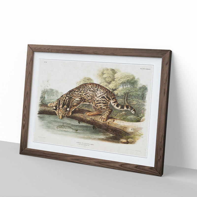 Leopard-Cat by J.W. Audubon - Picture Frame Painting Print, 48cm H x 65cm W x 2cm D, Walnut Framed