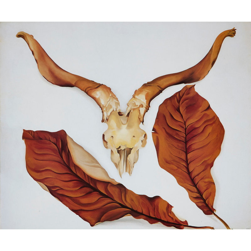 Ram's Skull avec feuilles brunes, H 28 po x l 34 po
