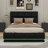 Deaundra Upholstered Platform Storage Bed-955994494-1000707688