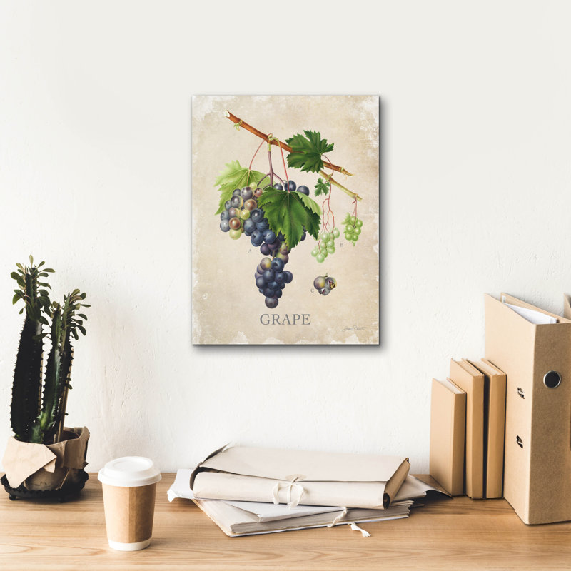  «Luscious Fruit Study C» par Jean Plout, art mural 12 po x 16 po