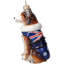 Australian Shepherd in Australia Flag Coat