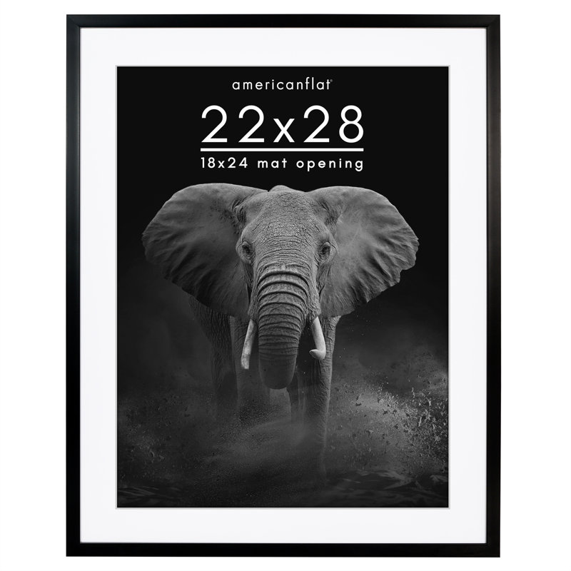 Cadre photo Americanflat, 22 po x 28 po