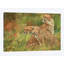 «Paire de guépards», impression sur toile-33109677-72409333-72409339