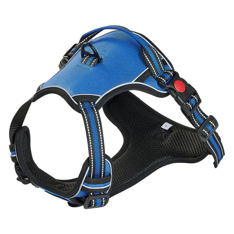 Harnais pour chien avec grand chien