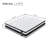 Aleksey 12" Memory Foam Hybrid Mattress with Euro Top & Motion Isolation-123100455