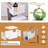 File Box (set of 2)