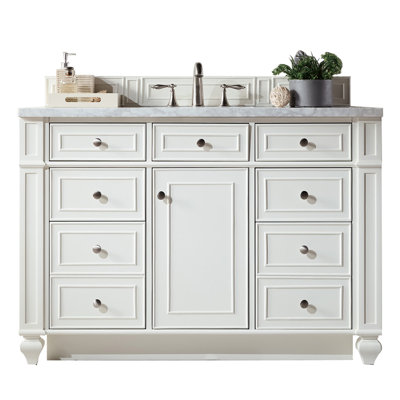 Bristol 48 in. Single Vanity