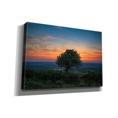 'Sunset On Steptoe Butte' by Rick Berk Canvas Wall Art