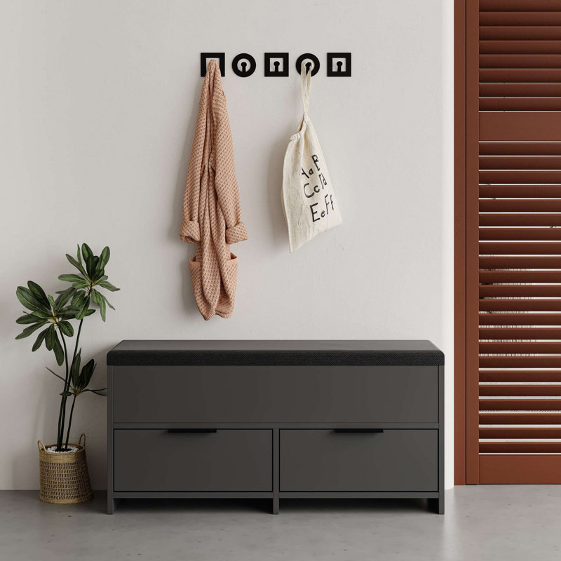 Baneen 8 Pair Shoe Storage Cabinet